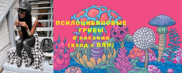 тгк Осташков