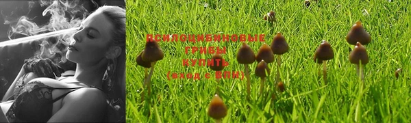jwh Нязепетровск