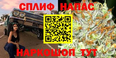 амф Гусь-Хрустальный
