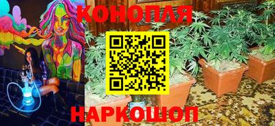 PSILOCYBIN Заводоуковск
