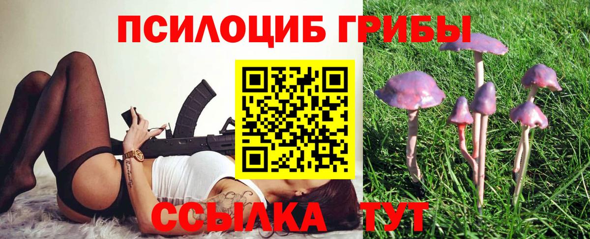 Галлюциногенные грибы Psilocybine cubensis  Семилуки  Псилоцибиновые грибы Cubensis 