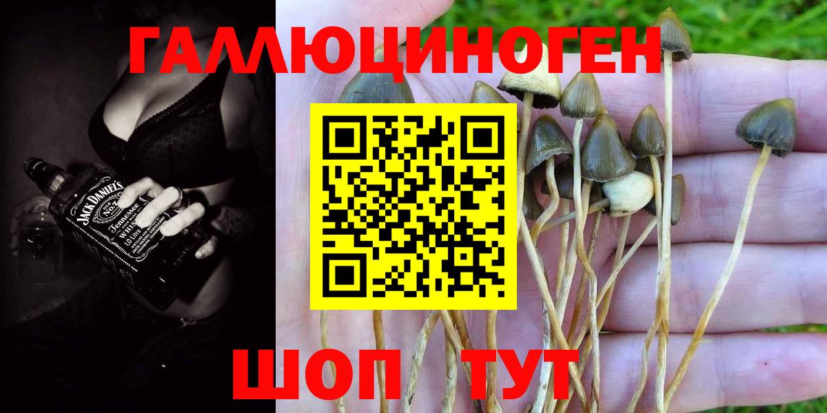 Псилоцибиновые грибы мицелий Семилуки